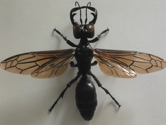 进化生物大图鉴 胡蜂 2 加鲁达巨唇泥蜂 + 展示架套装