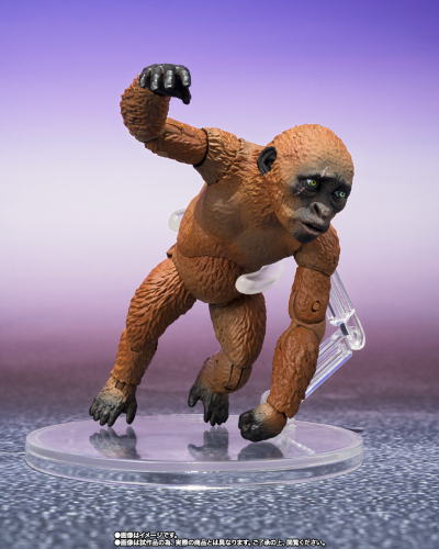 S.H.MonsterArts 迷你金刚与摩斯拉（2024）《哥斯拉大战金刚2：帝国崛起》