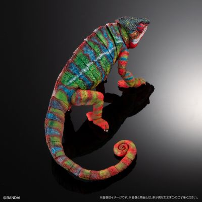 高级生物大图鉴 豹变色龙（安比卢贝·绿）