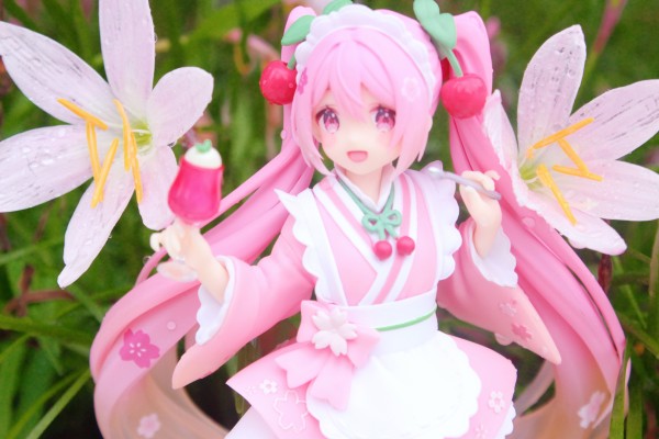 Coreful  樱花未来~日式茶馆服务员~