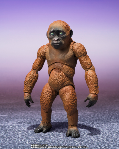 S.H.MonsterArts 迷你金刚与摩斯拉（2024）《哥斯拉大战金刚2：帝国崛起》