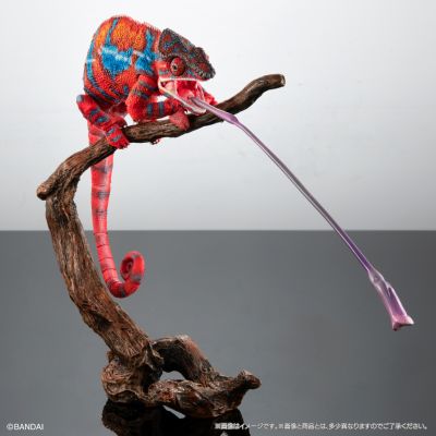 高级生物大图鉴 豹变色龙（安比卢贝·红）