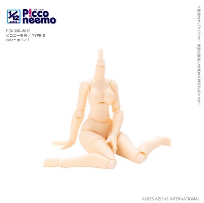 Picco Neemo R 素体 TYPE－S