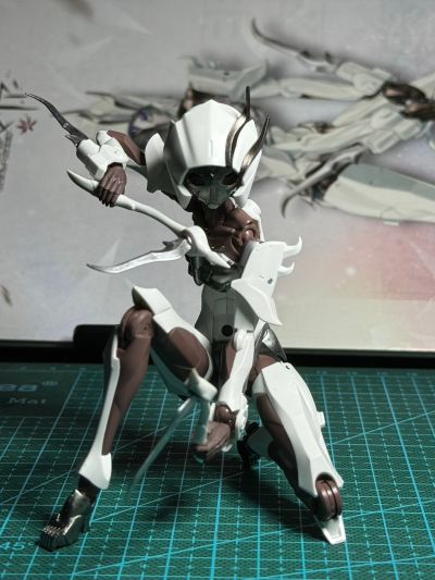 无限邂逅 追踪者