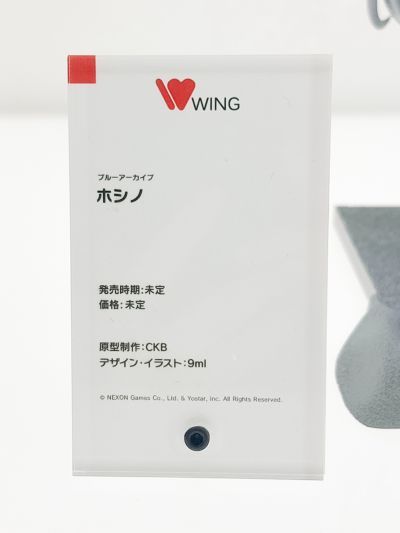 蔚蓝档案 小鸟游星野