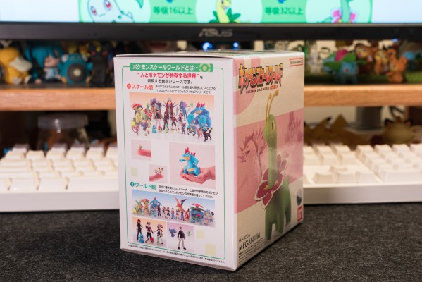 宝可梦缩尺世界 城都地区 大竺葵