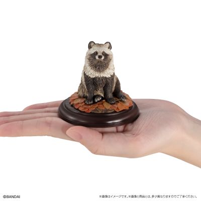 生物大图鉴 陈列模型系列 野生的犬科动物