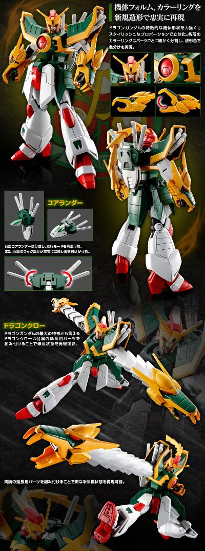 HG 1/144 飞龙高达