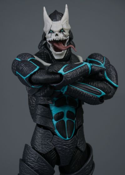 S.H.Figuarts 市川莱诺