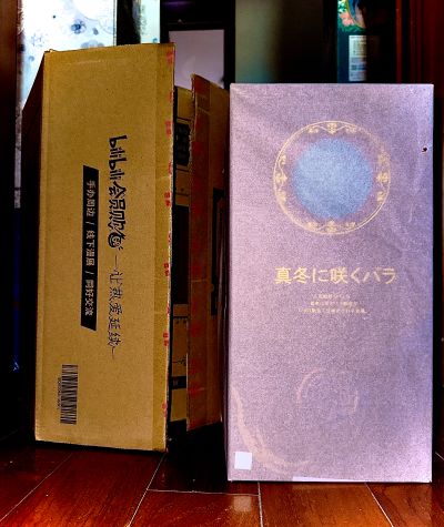 玫瑰狐娘