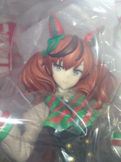 赛马娘 闪耀！优俊少女 优秀素质