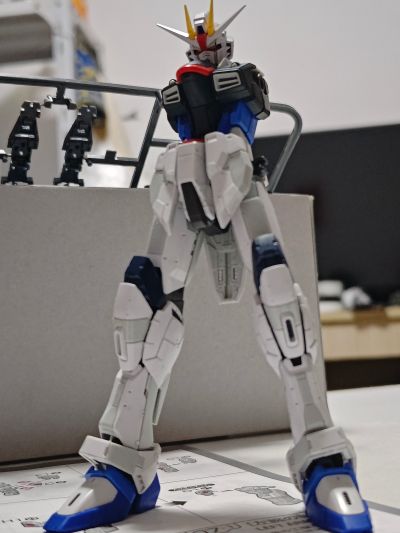 RG 1/144 高达基地专属商品   自由高达 GCP版