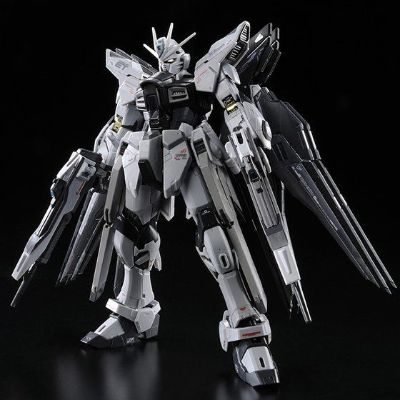 RG 1/144 强袭自由高达 装甲未启动样式