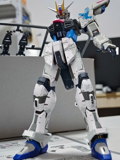 RG 1/144 高达基地专属商品   自由高达 GCP版