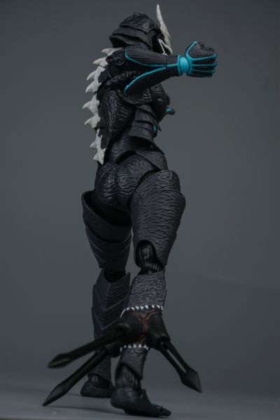 S.H.Figuarts 市川莱诺