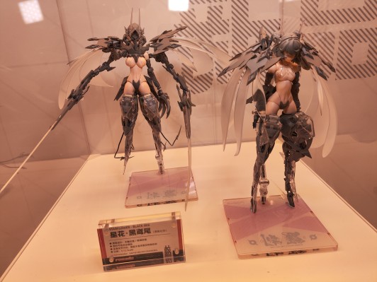 萝莎计划 星花·黑鸢尾