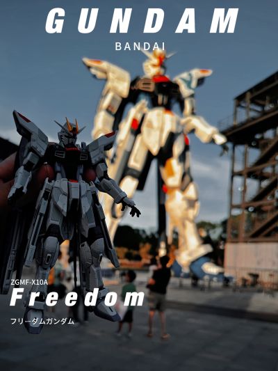 RG 1/144 高达基地专属商品   自由高达 GCP版