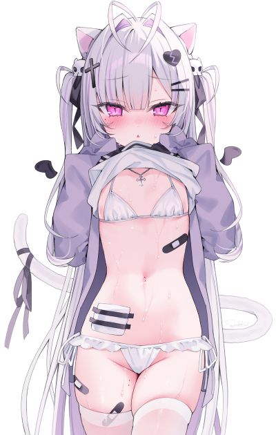 舒比 猫耳