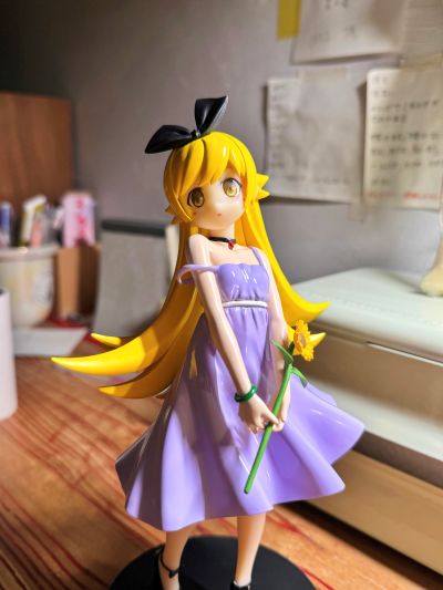 化物語 战场原黑仪 ウエダハジメVer.