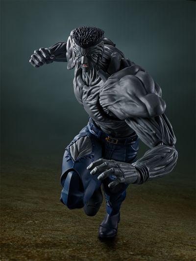 S.H.Figuarts  户愚吕弟100％