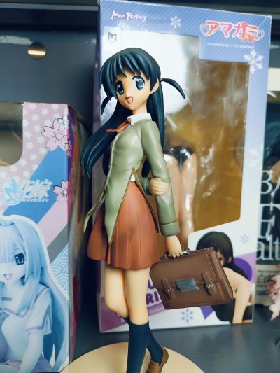 校园迷糊大王 塚本天满 