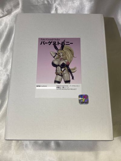 命运-冠位指定 剑士-巴格斯特