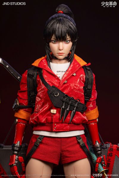 少女革命系列 HIKARU
