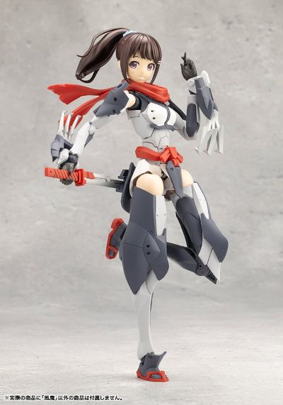 无限邂逅 风魔