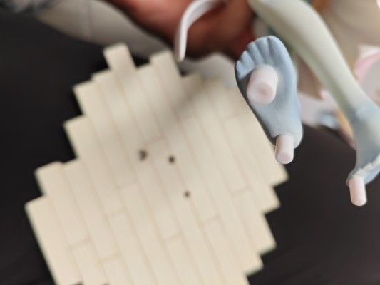 猫娘乐园 香草 ~可爱甜蜜时光~