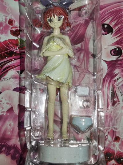トゥハート 2 アナザーデイズ 向坂环 Adult DVD Jacket Ver. 