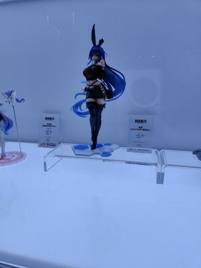 碧蓝航线 萨沃伊亲王（欧根亲王） Final Lap 异色限定版