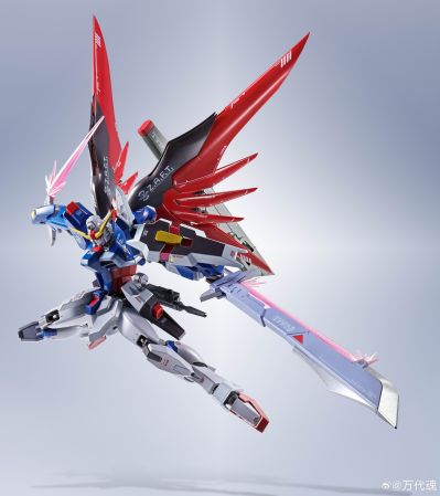 METAL ROBOT魂 ＜机动战士系列＞ 命运高达 [Re:Coordinate]