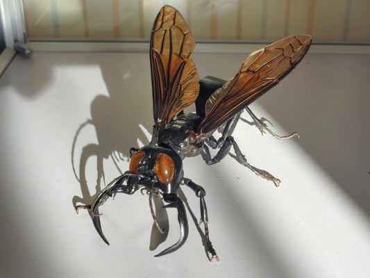 进化生物大图鉴 胡蜂 2 加鲁达巨唇泥蜂 + 展示架套装