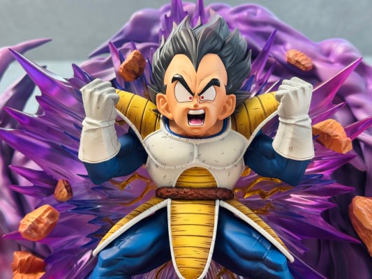 龙珠Z 贝吉塔 Dragon Ball Selection 