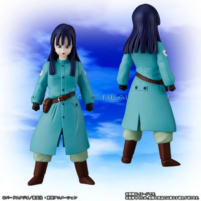 HG龙珠系列 皮拉夫/杂烩饭大王一行全套人偶