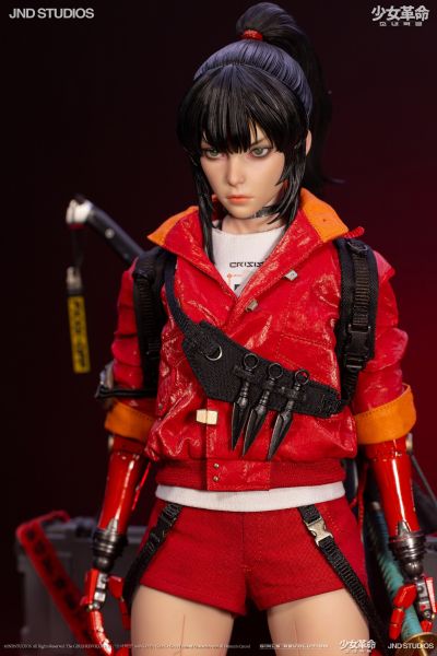 少女革命系列 HIKARU