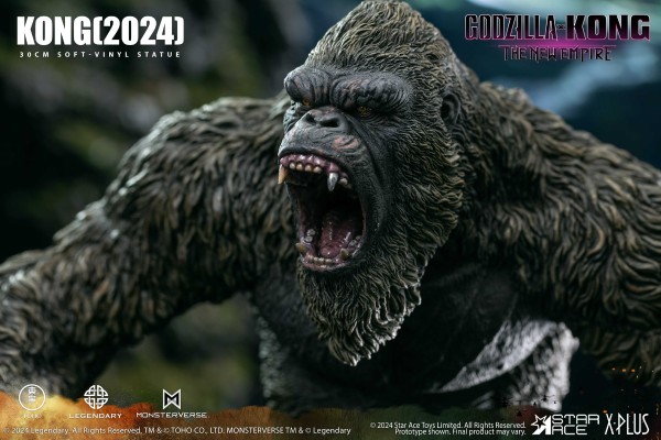 金刚（2024）