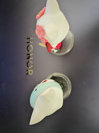 大理寺日志 猫爷少卿