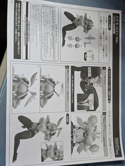 斯黛拉 兔女郎
