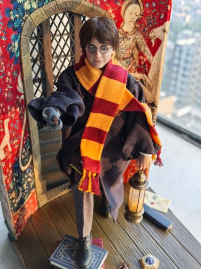 哈利波特与魔法石 哈利波特 学院服
