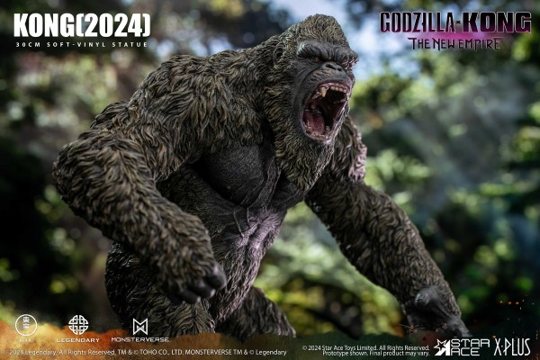 金刚（2024）