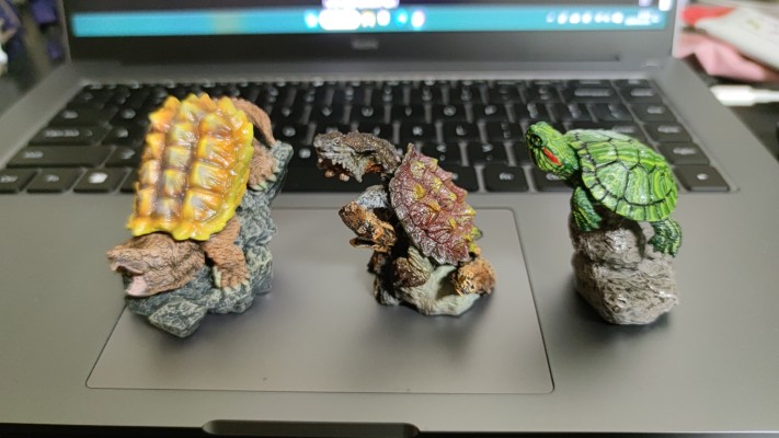 生物大图鉴 迷你系列 龟01