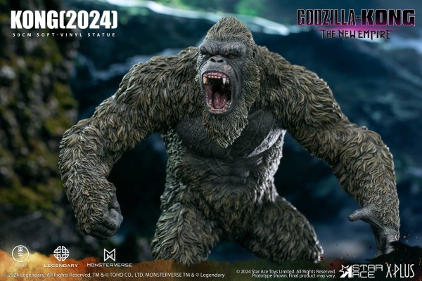 金刚（2024）