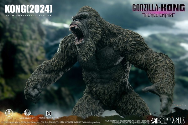 金刚（2024）