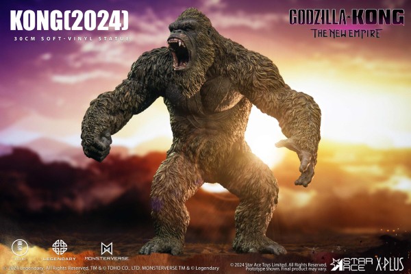 金刚（2024）