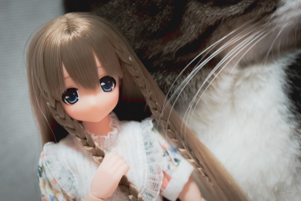 EX☆CUTE Family ～meow×meow a・la・mode～爱猫人士／米娅