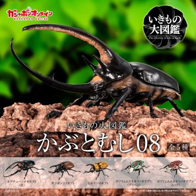 生物大图鉴 甲虫 8