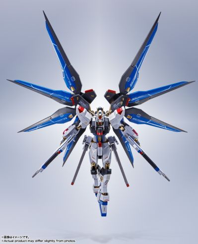 METAL ROBOT魂 ＜机动战士系列＞ 强袭自由高达 [Re:Coordinate]
