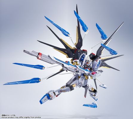 METAL ROBOT魂 ＜机动战士系列＞ 强袭自由高达 [Re:Coordinate]