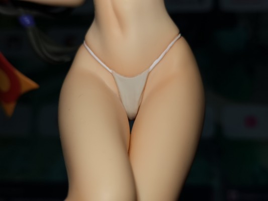 Excellent Model CORE 女皇之刃 P-3 武者巫女 巴